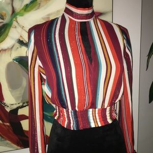 Multi Color Shimmer Sheer Stripe Blouse